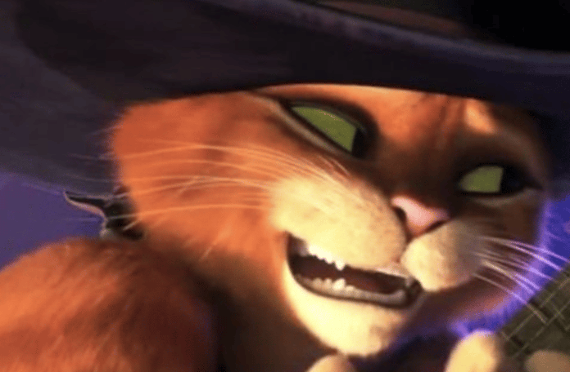 Puss in boots