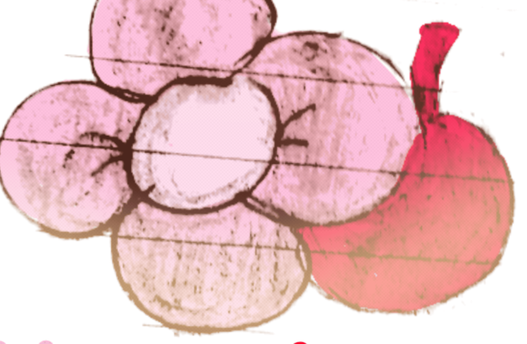 bloom cherrys