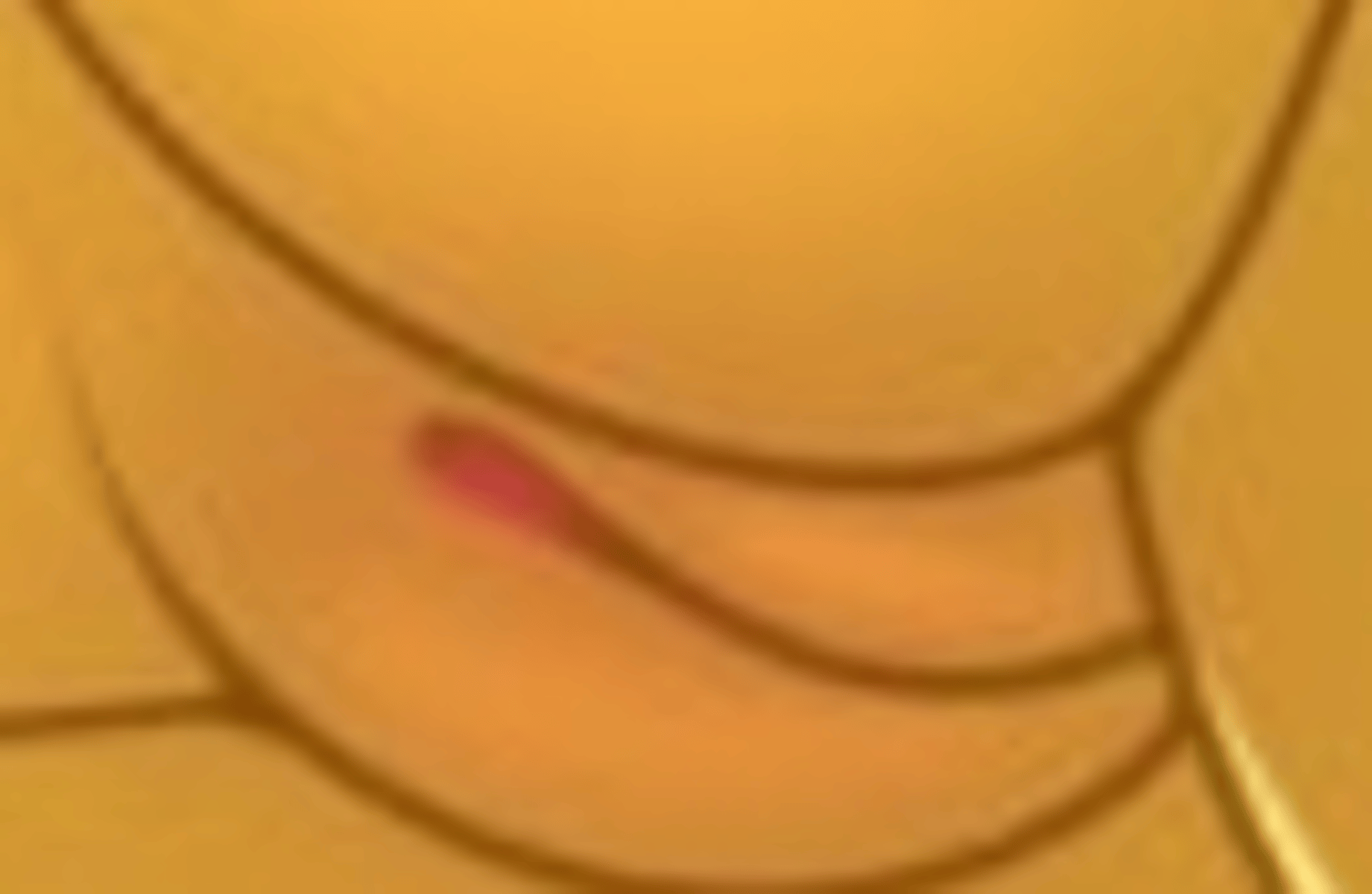 Yellow Peep