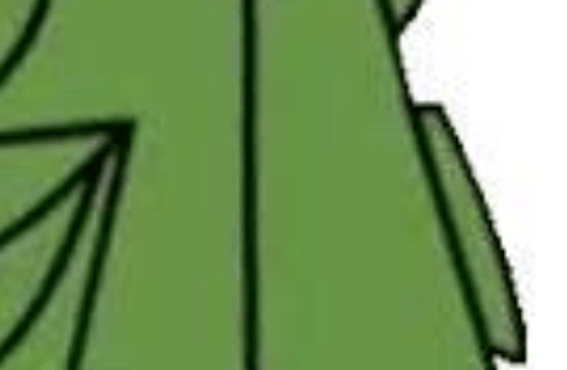 Johnny Test