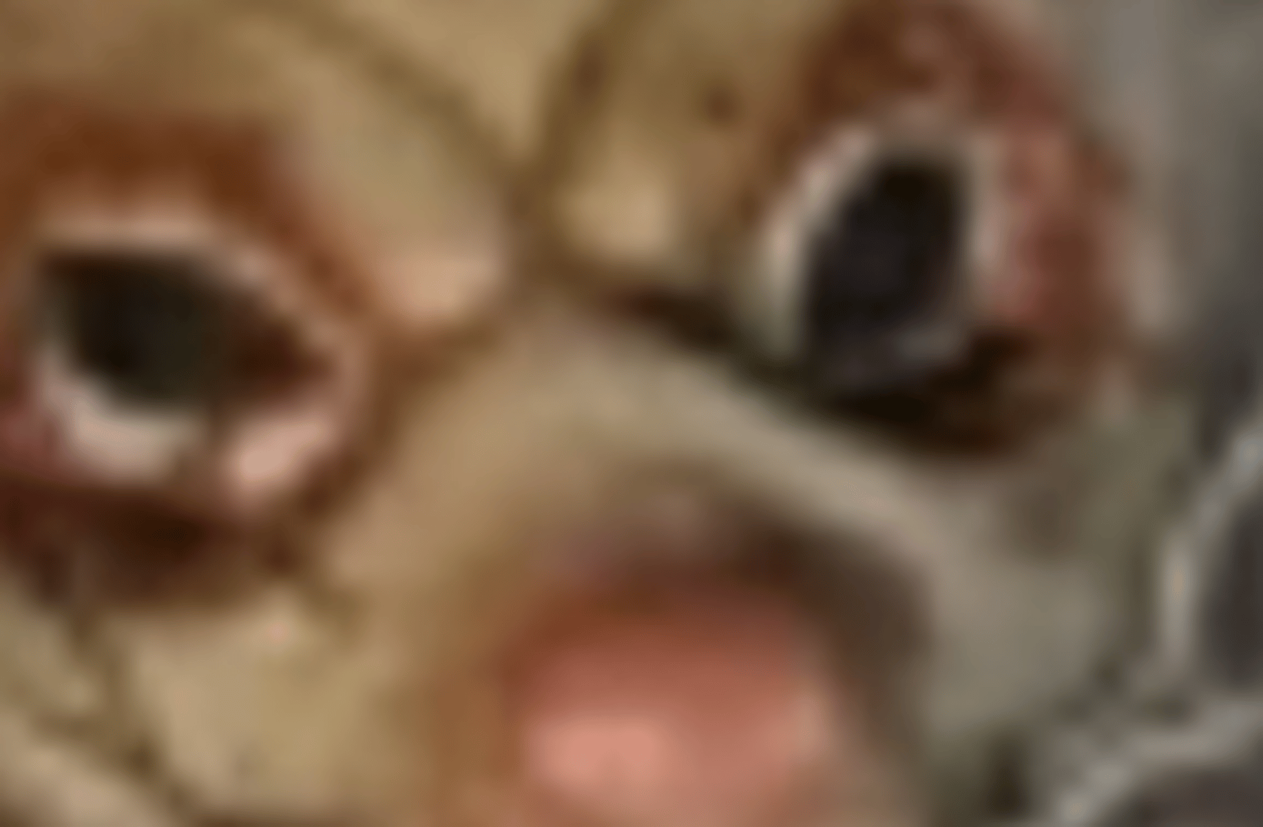 Erick Rowan