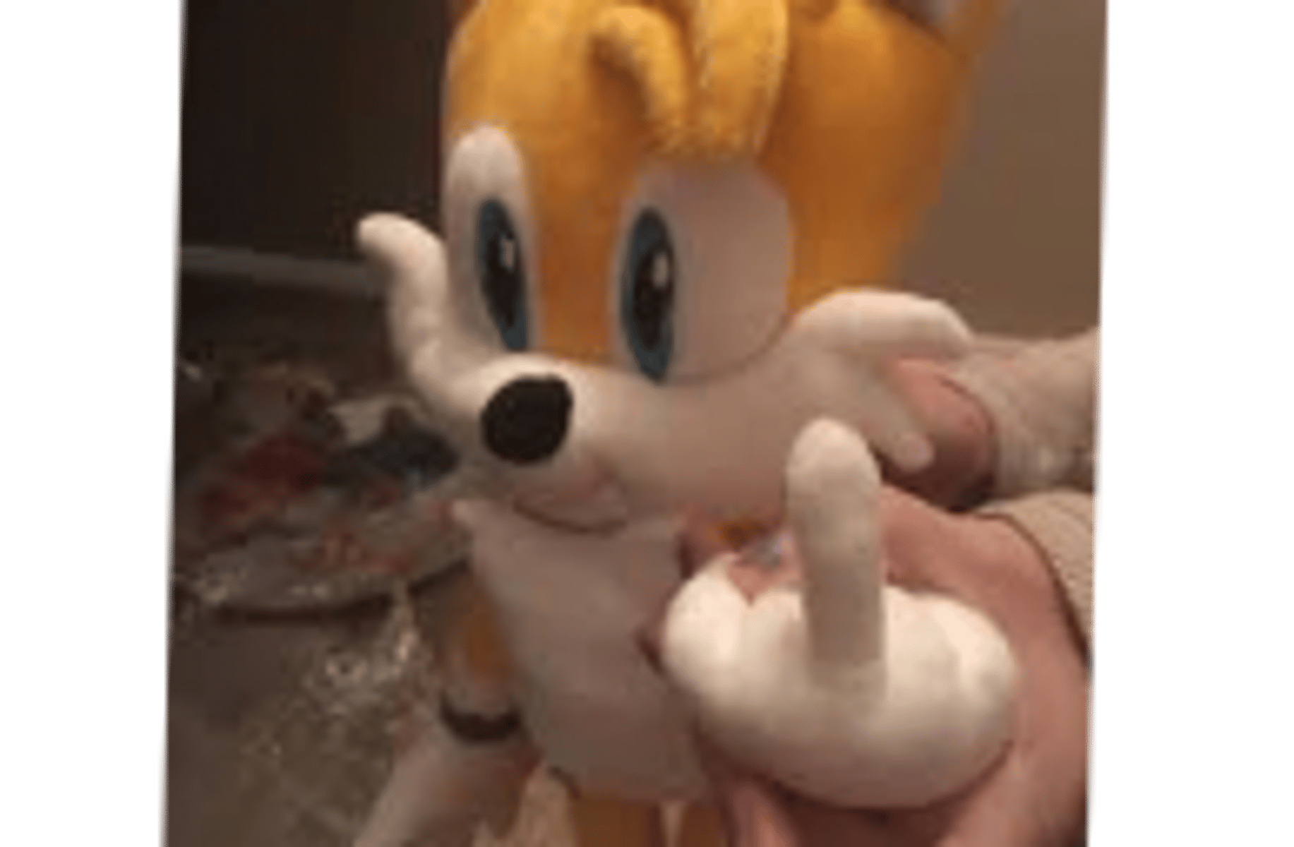 Tails The Fox