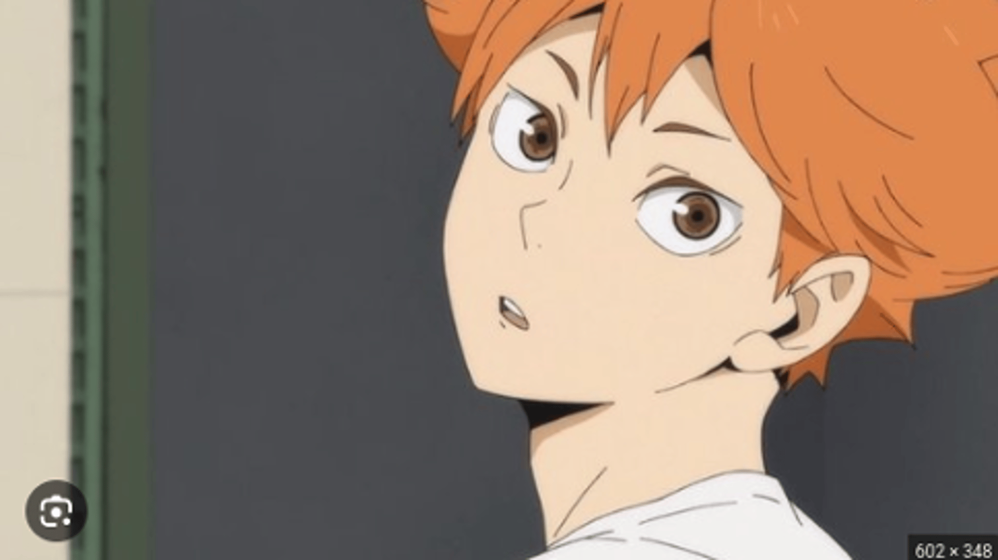 Hinata Shoyo