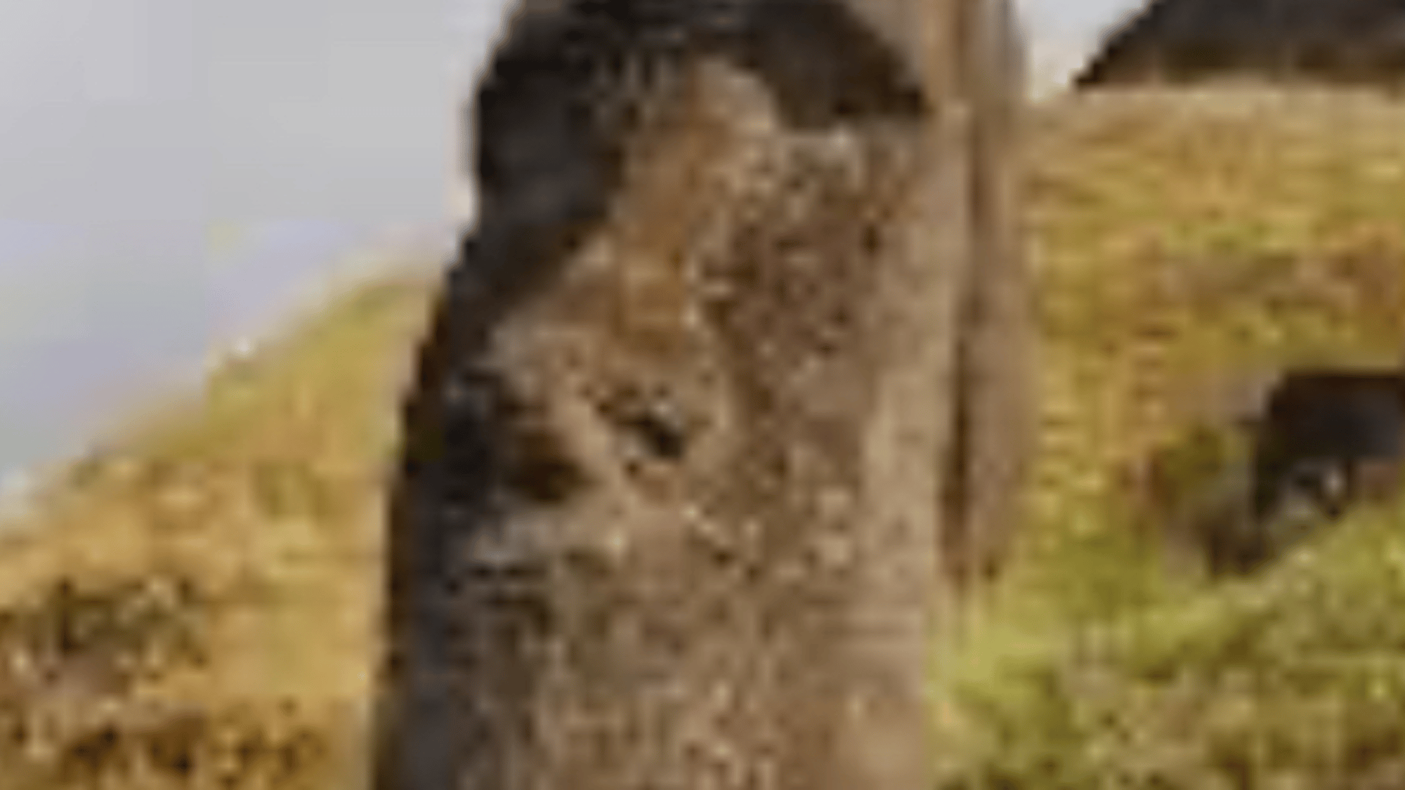Moaigod