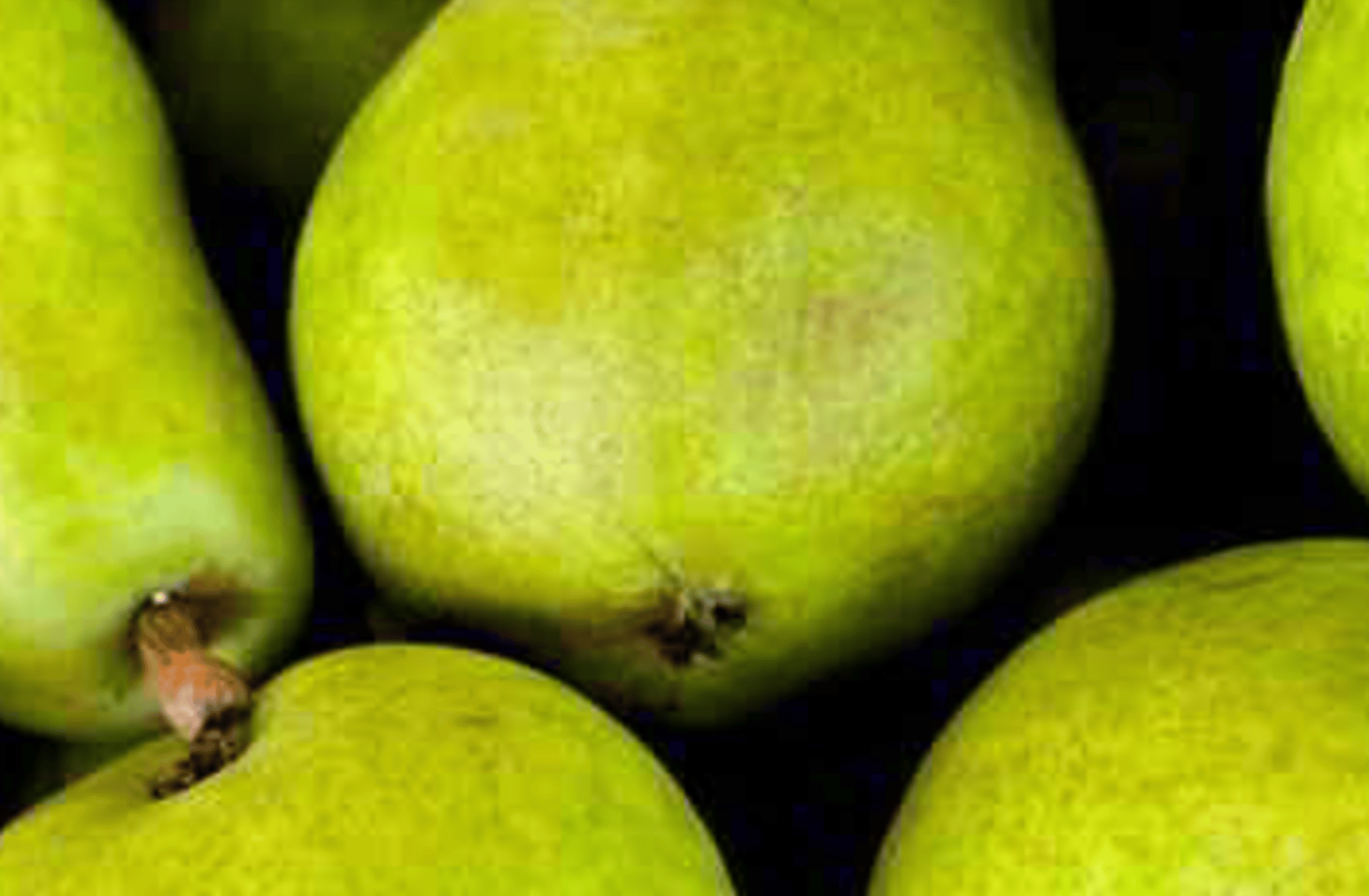 Silly pear
