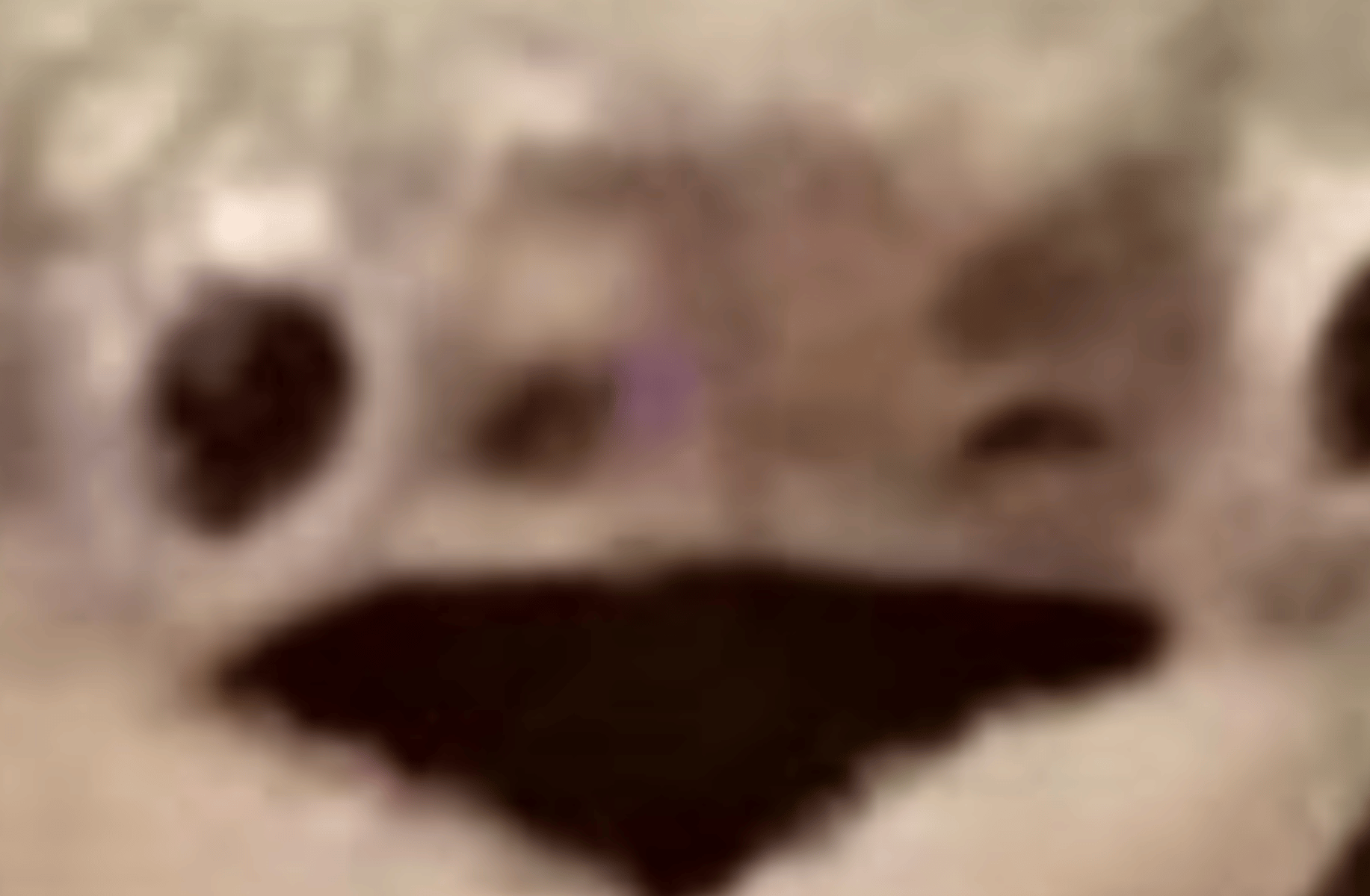 Awsamdude