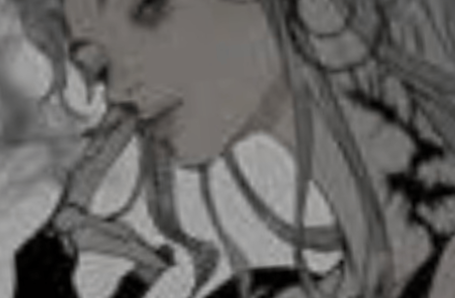Mafia girl (wlw)