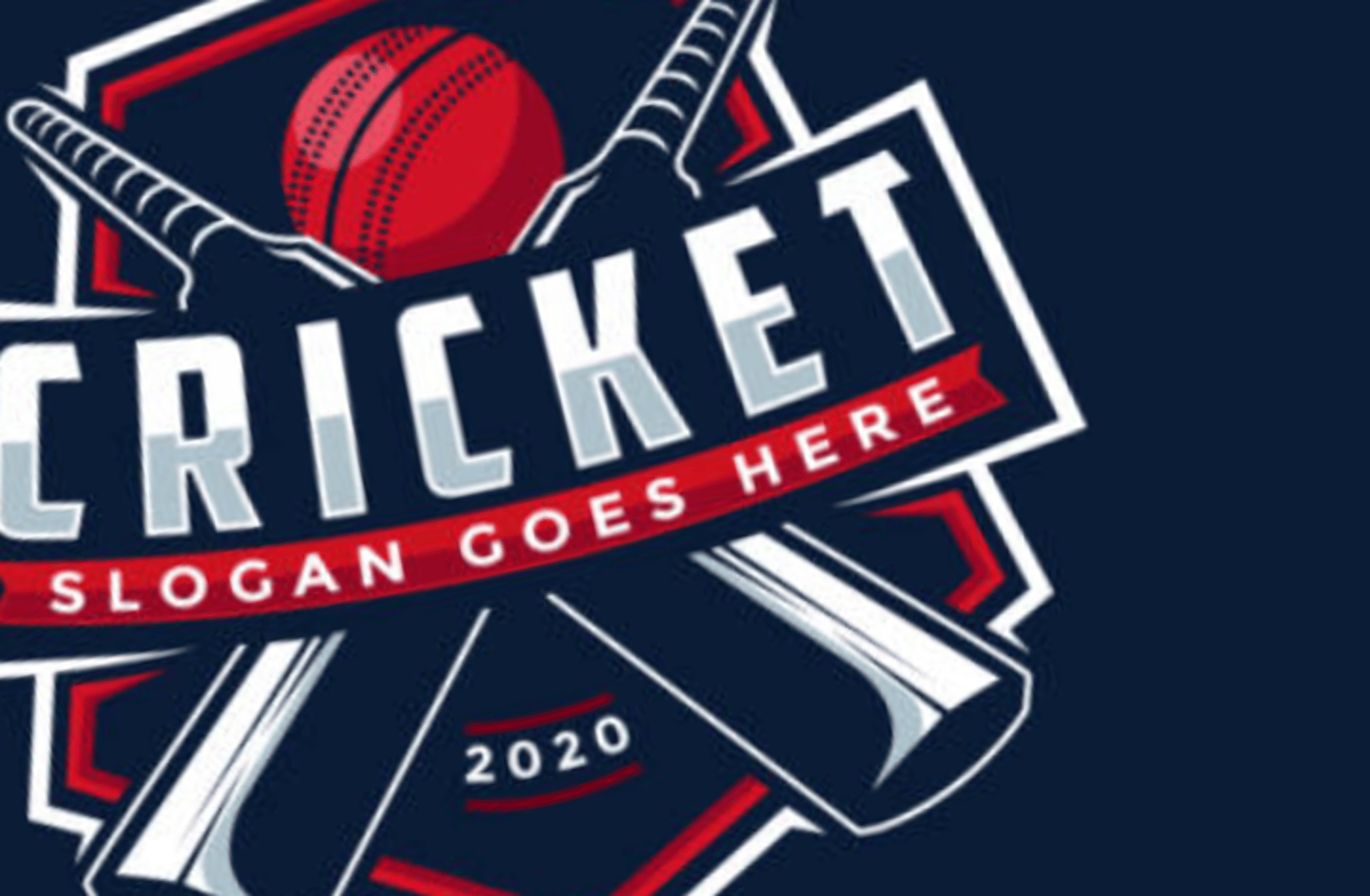 Cricket simulator