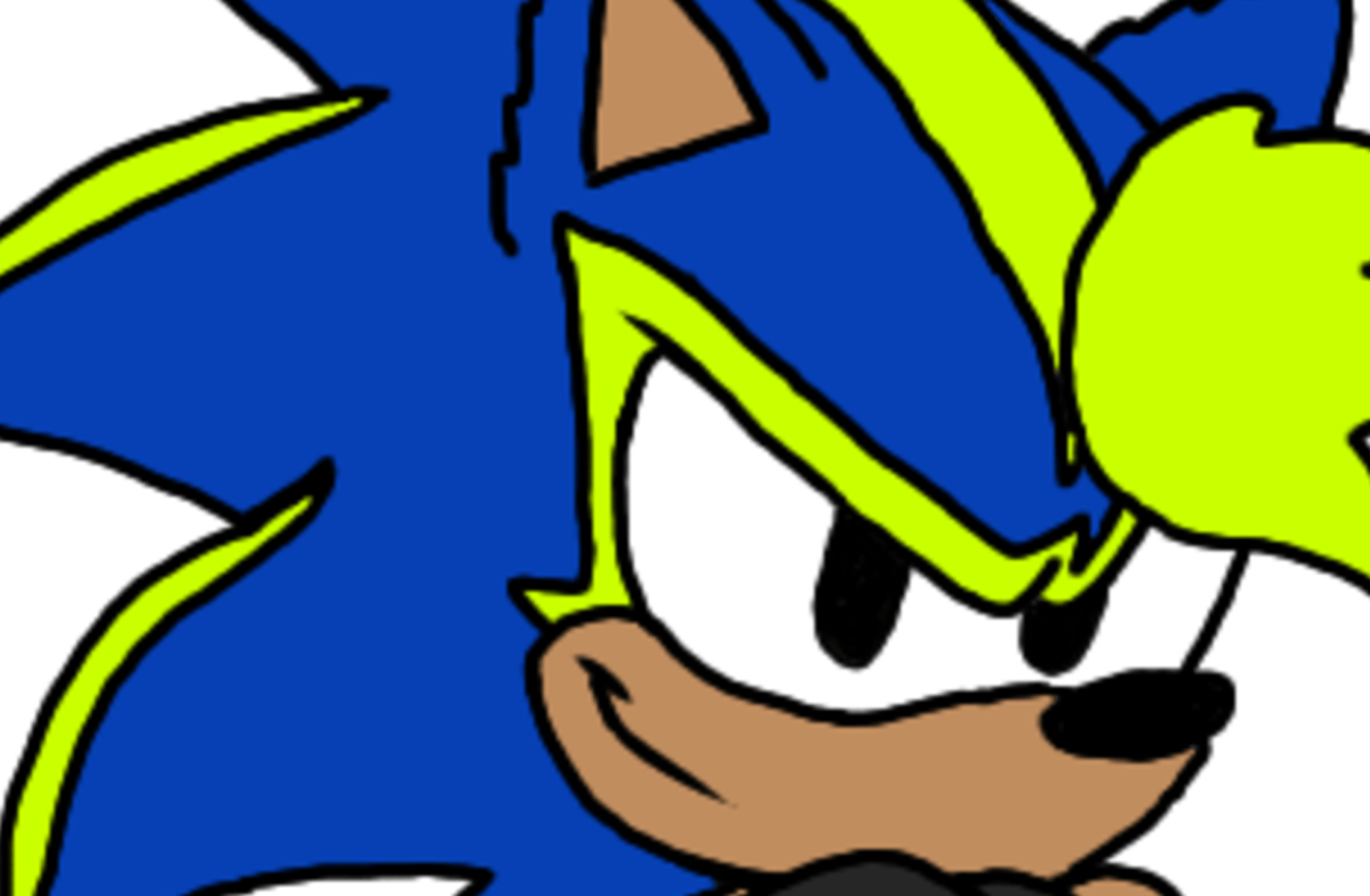 Toco the Hedgehog (v1)