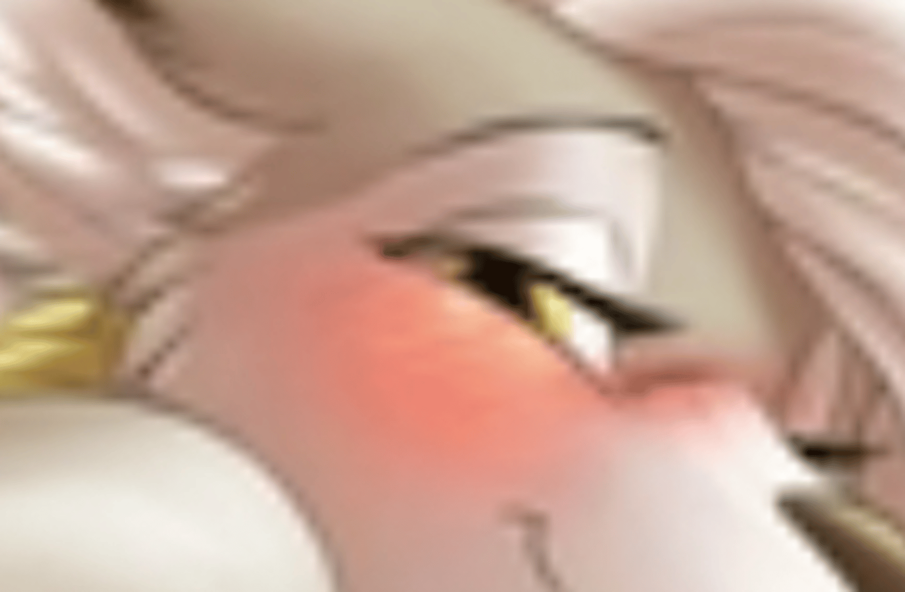 Furry