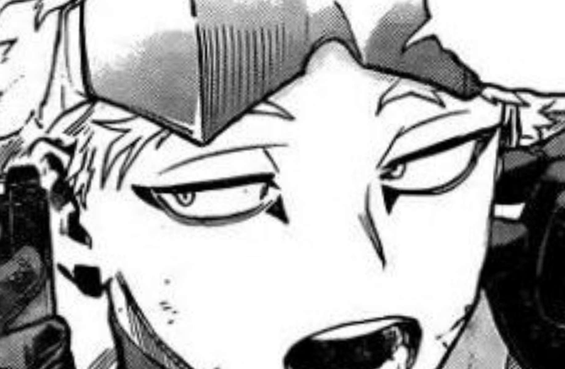 Hawks