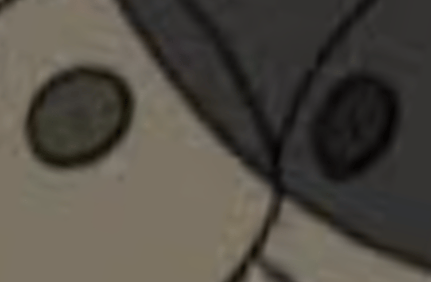 Stone