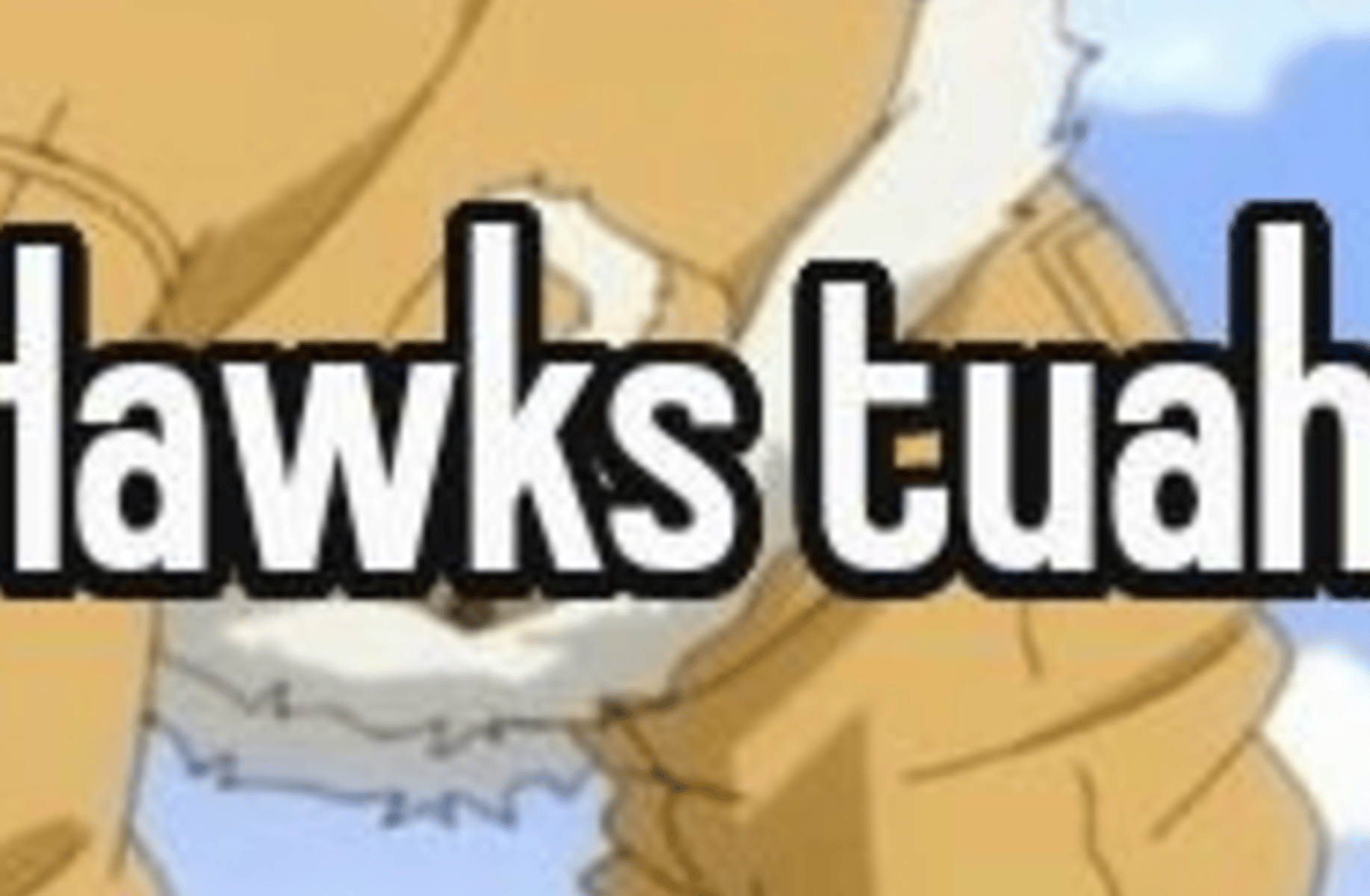 Hawks (Keigo Takami)