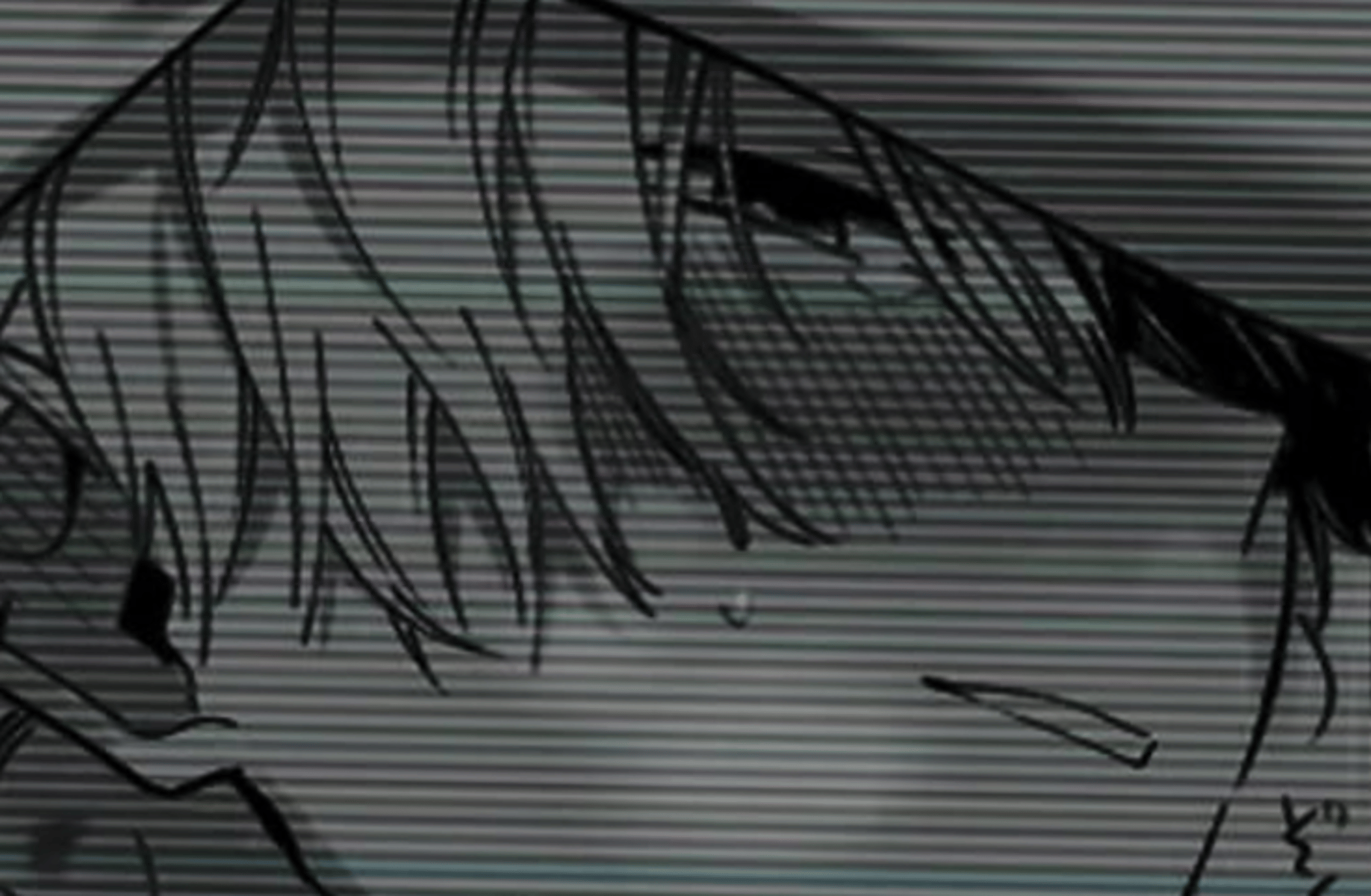 Todoroki