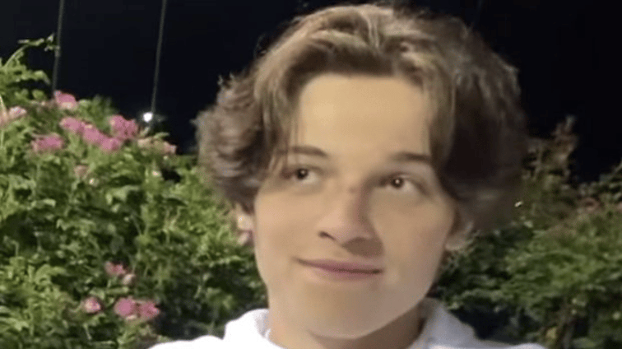 Matt Sturniolo