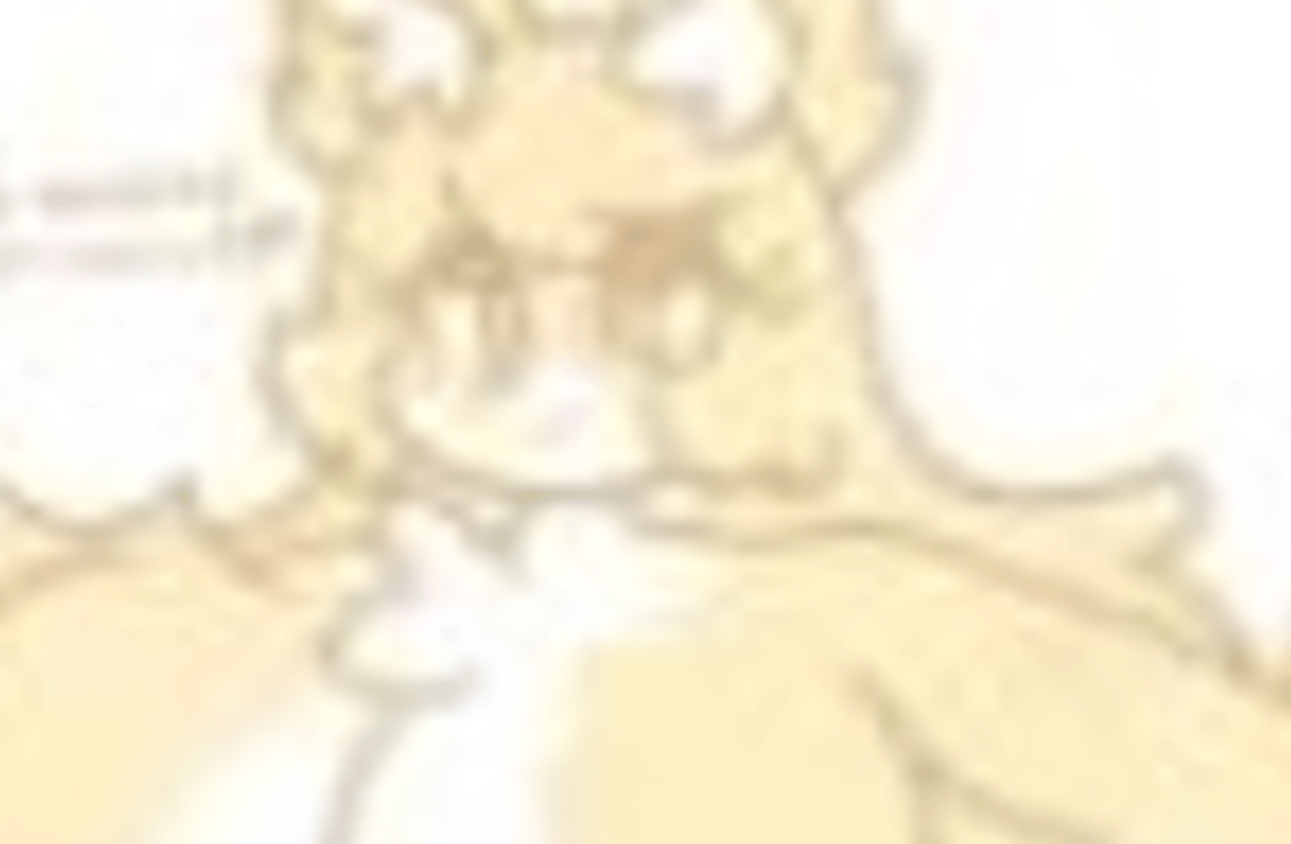 Thicc fox girl furry suit