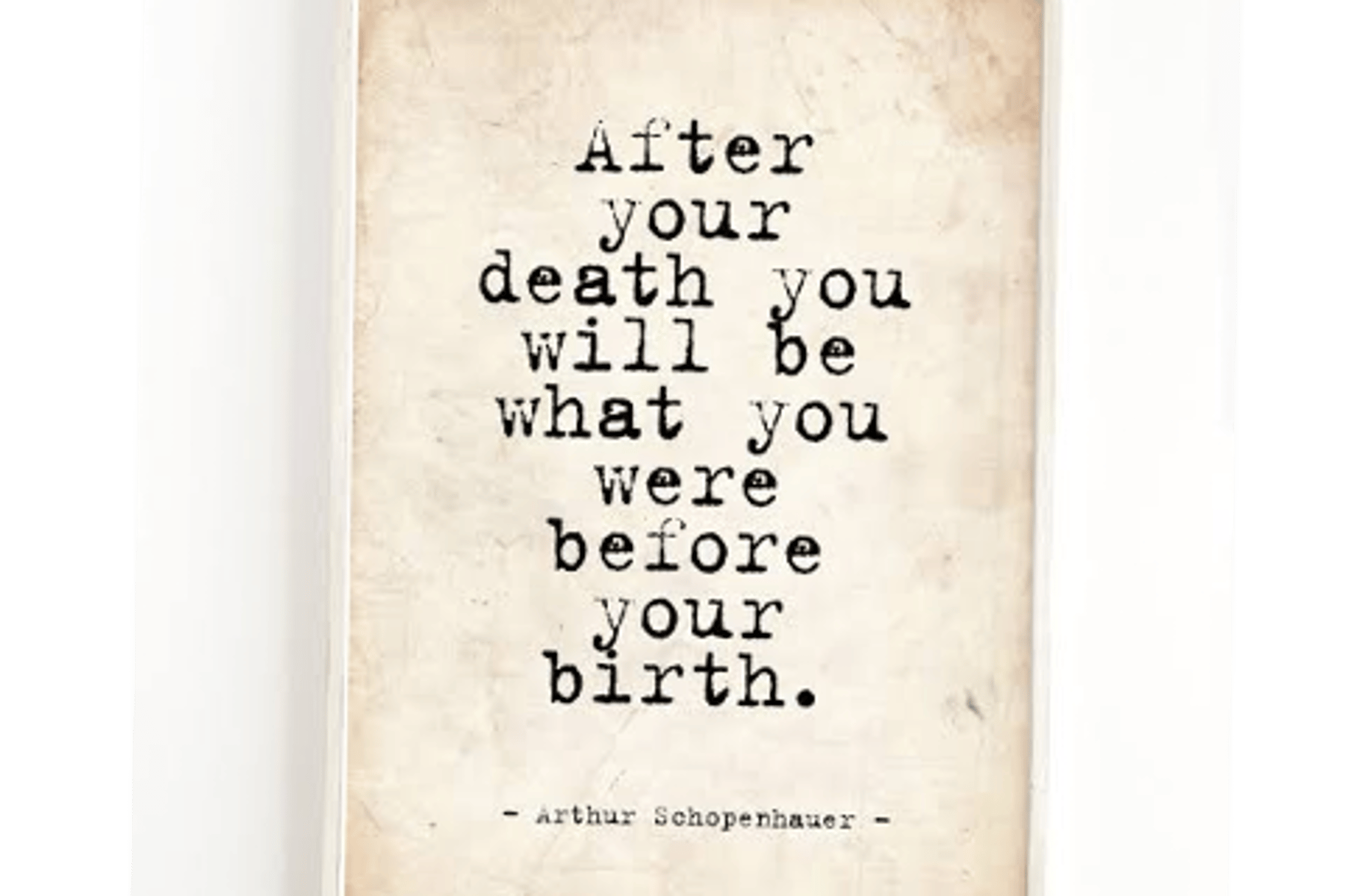 Arthur Schopenhauer