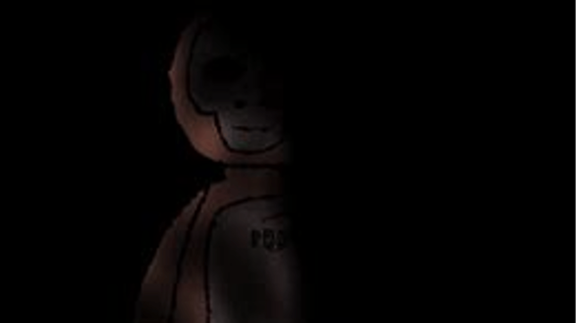 PBBV