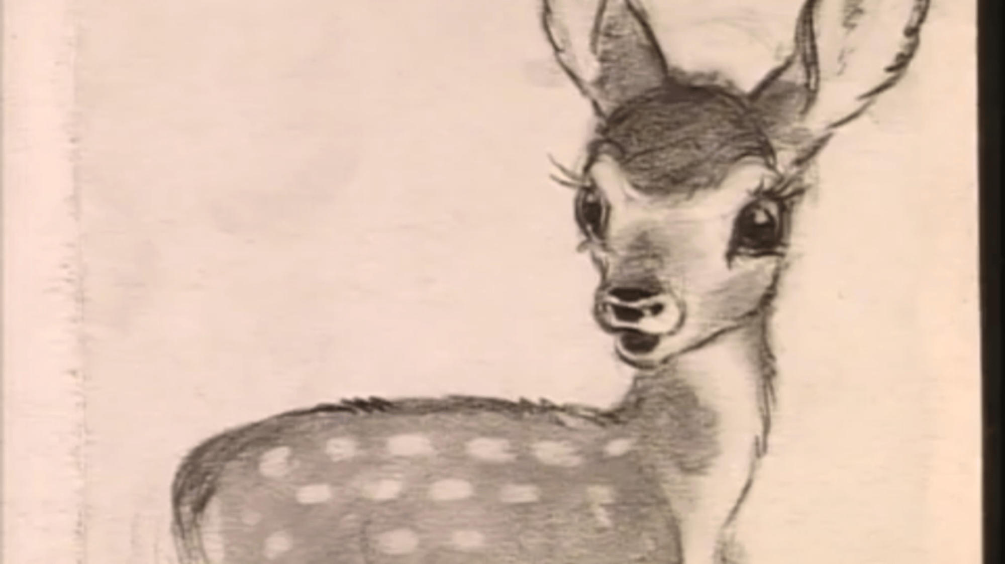 Bambi
