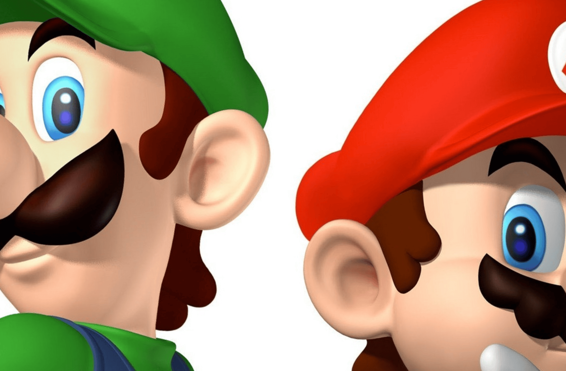 The Mario Brothers
