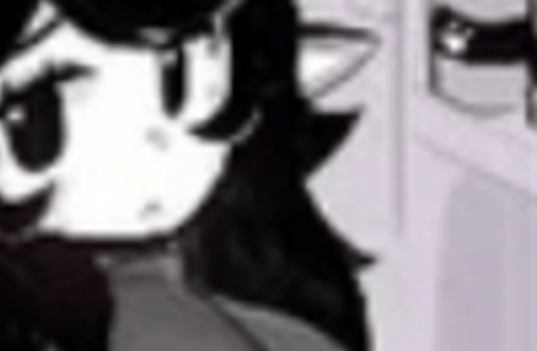 Tori