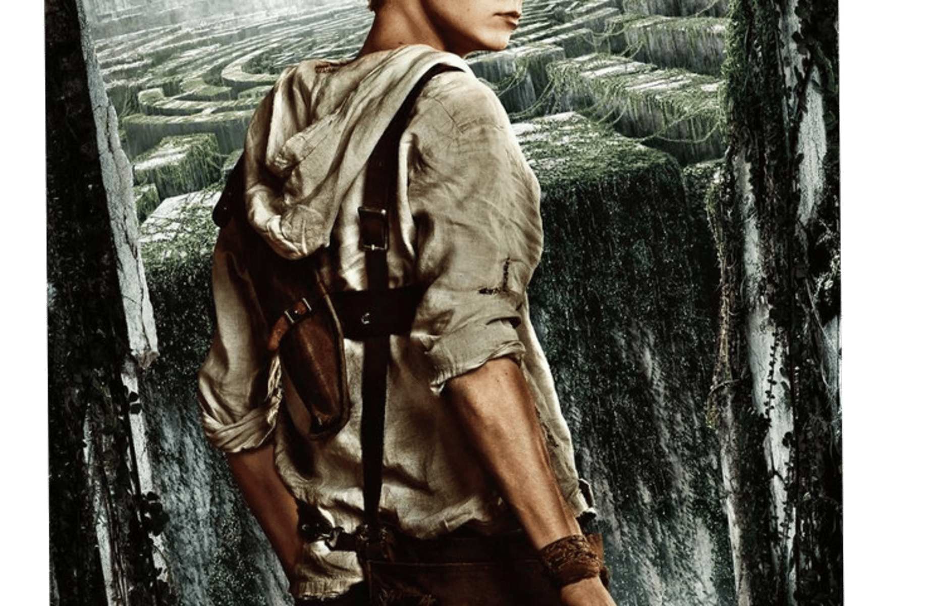 Newt