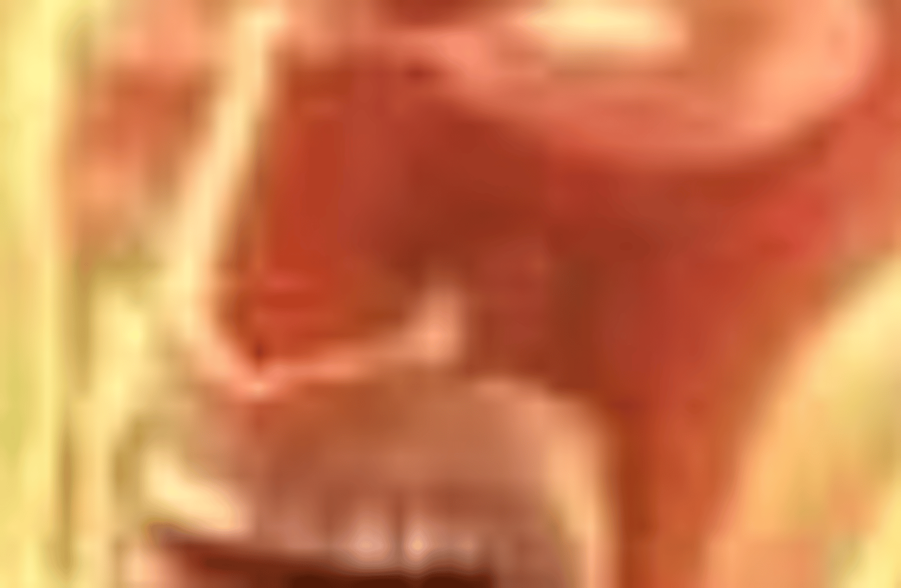 Djeb