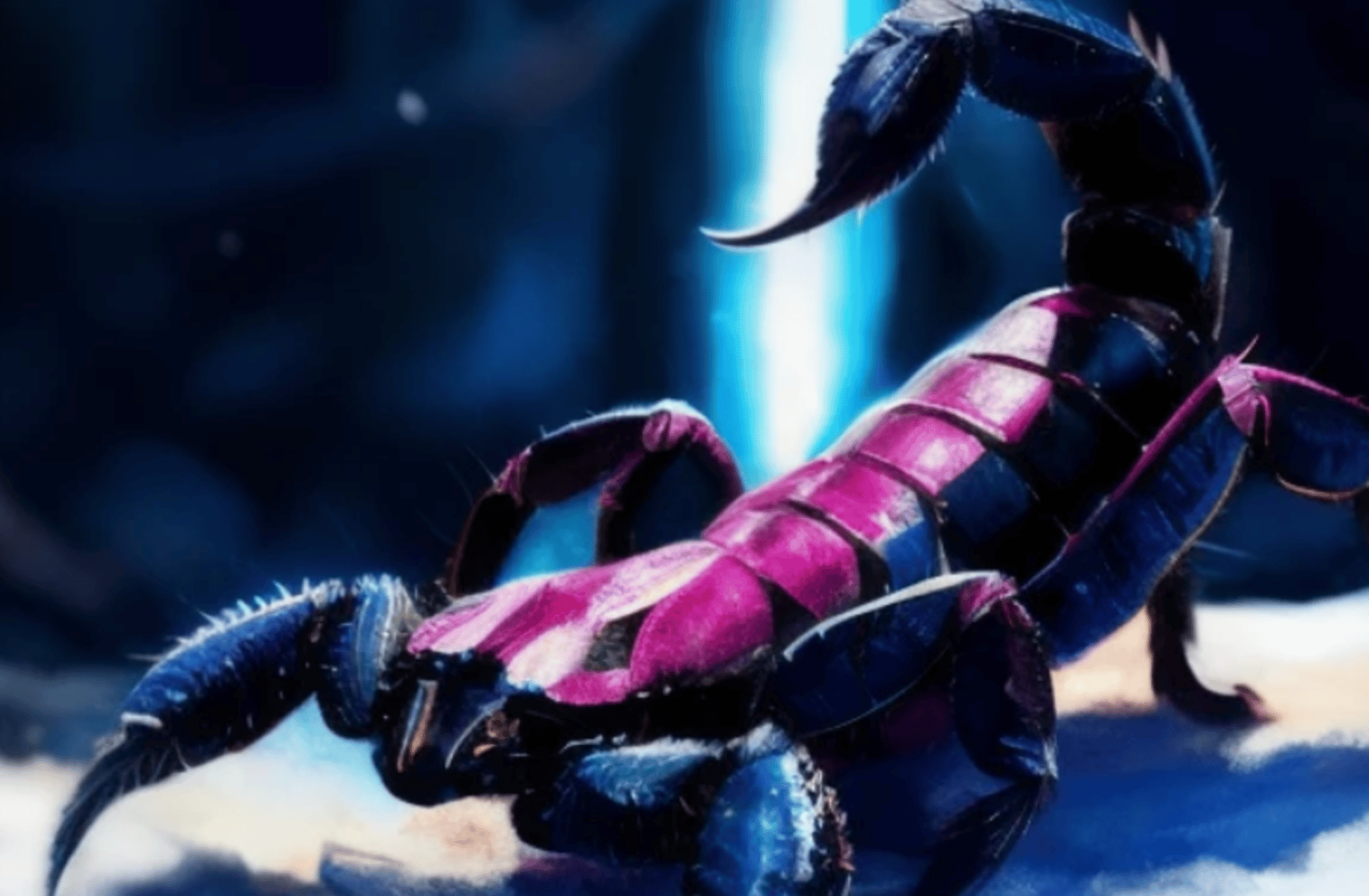 Companion Scorpion