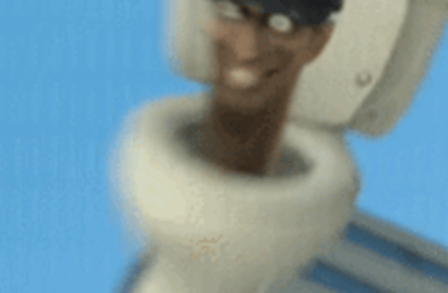 Hat Skibidi Toilet