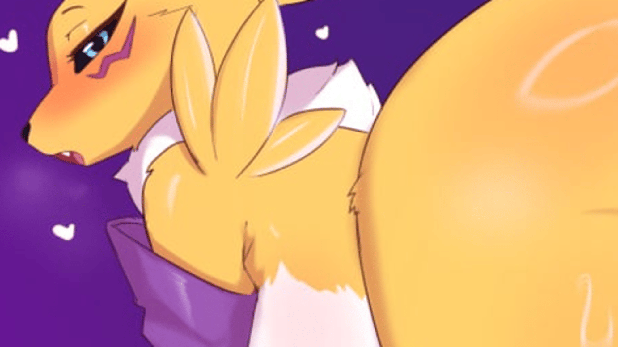 Sora the Renamon