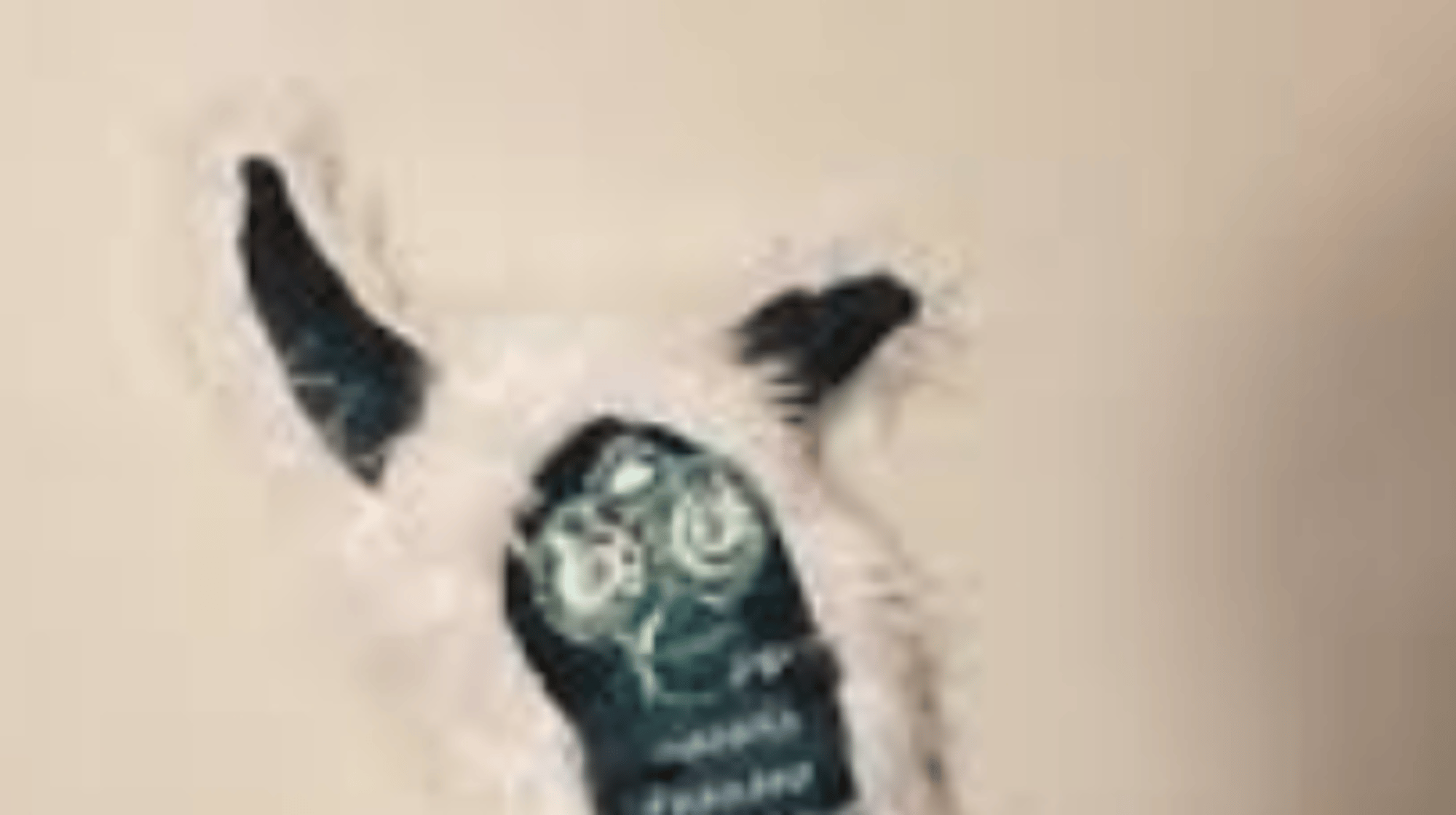long furby