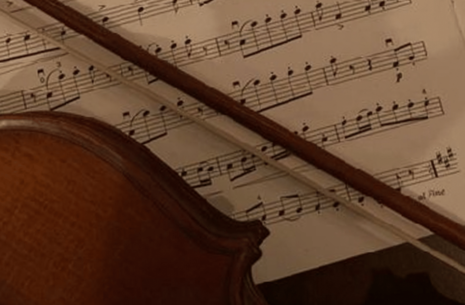 Violin strings.