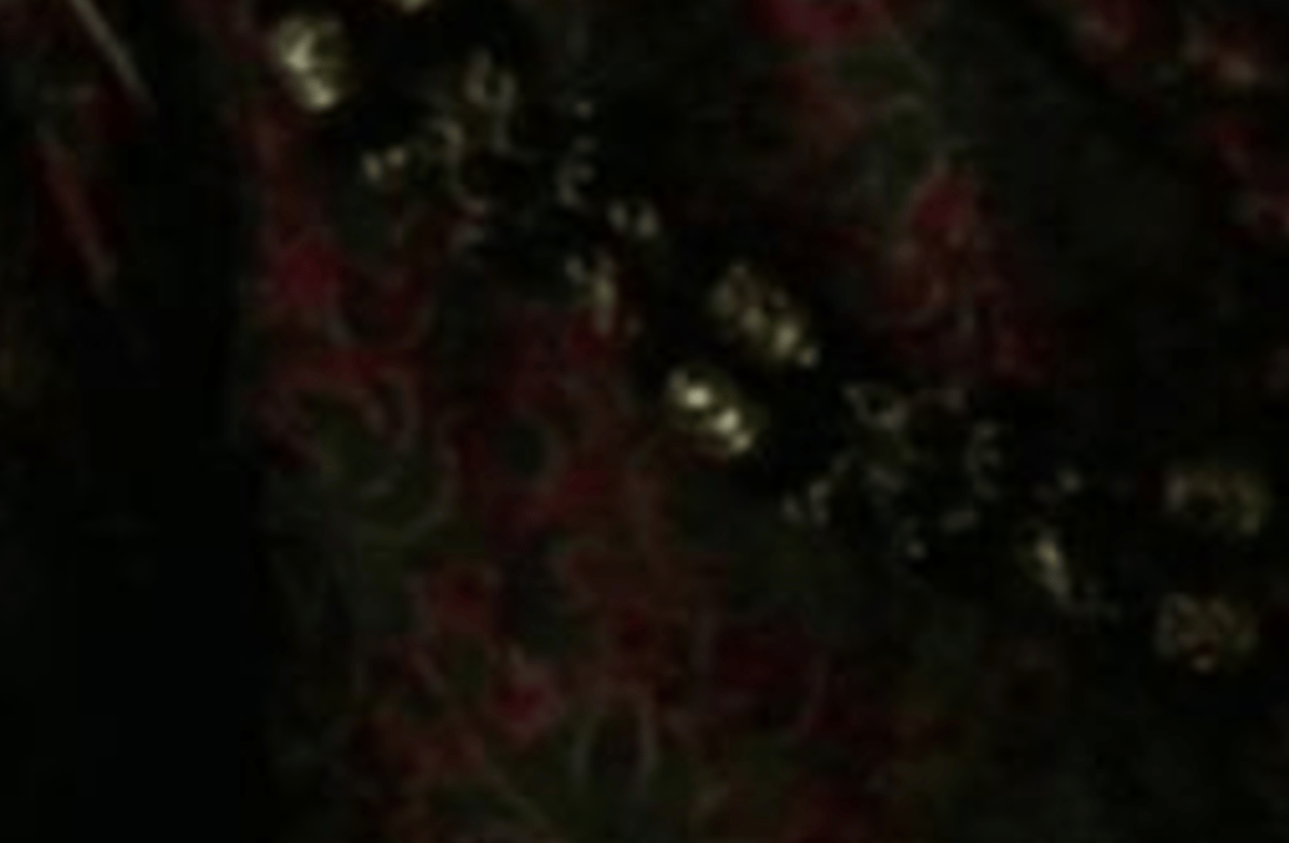 Henry Tudor