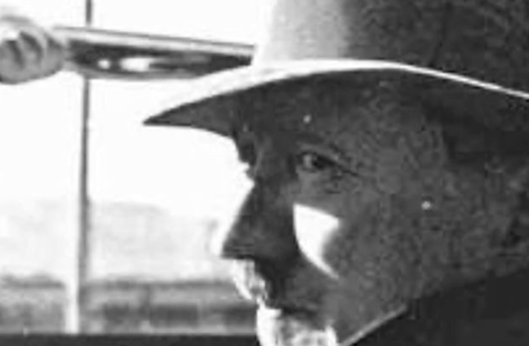 Adolf Hitler