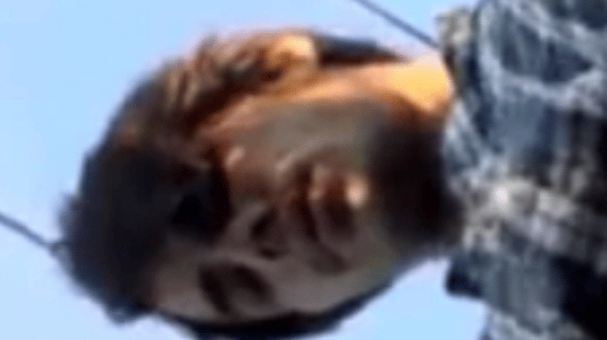 Carlos - Your brother