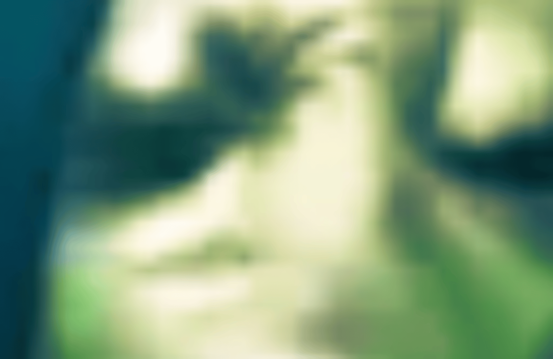 Vitor (eu)