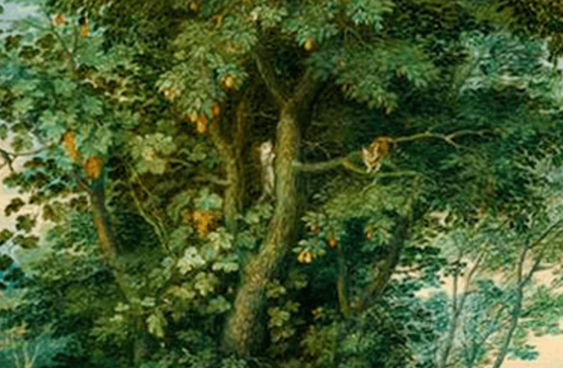 Eve (first woman)