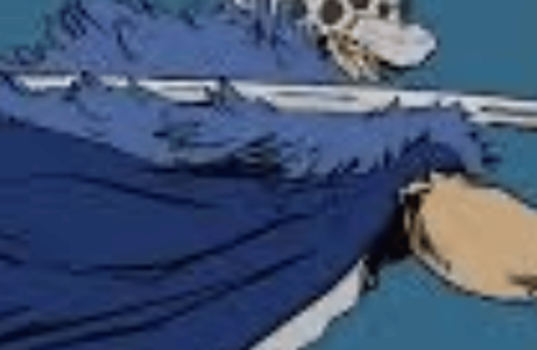 Trafalgar law