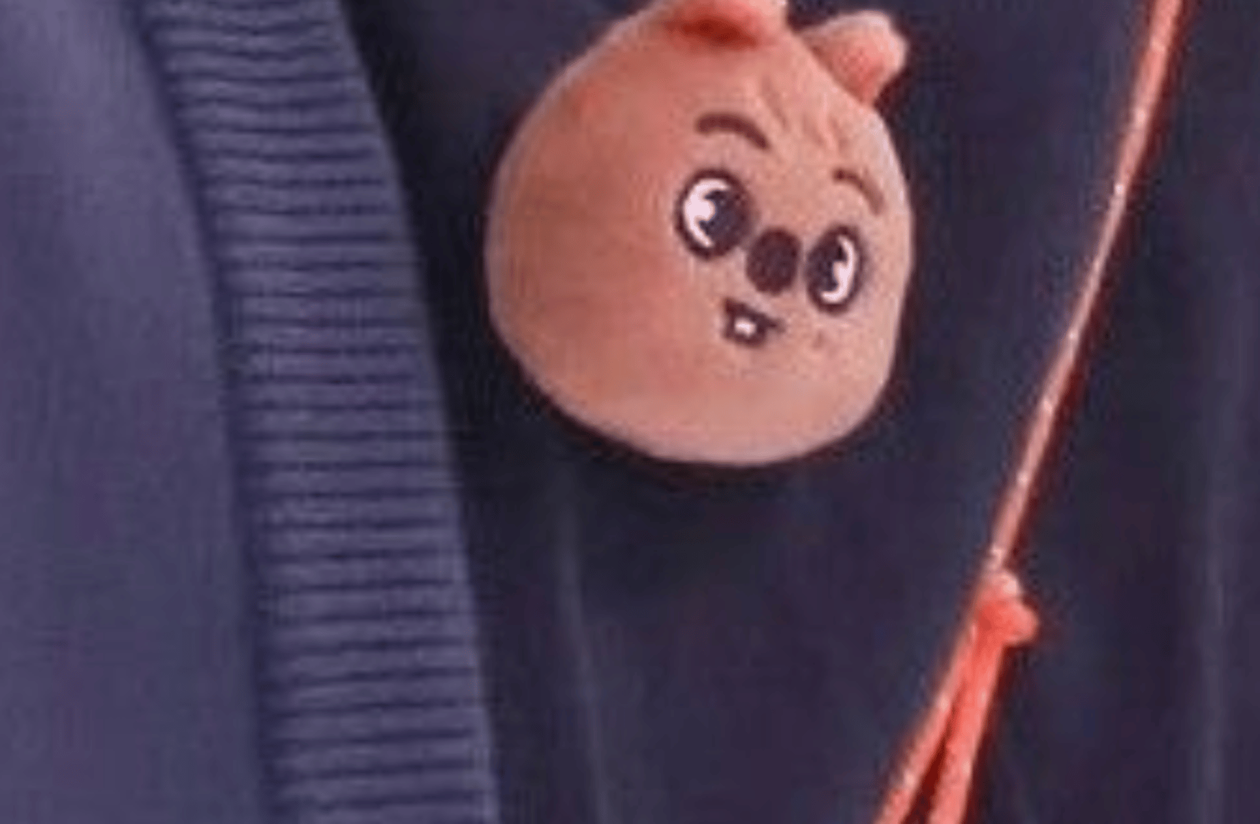 Stray kids(Han jisung)