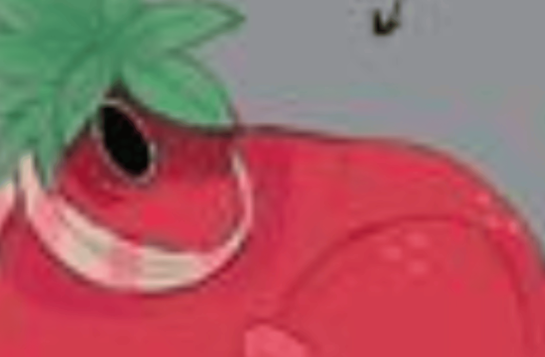 Sprout(your pet bunny)