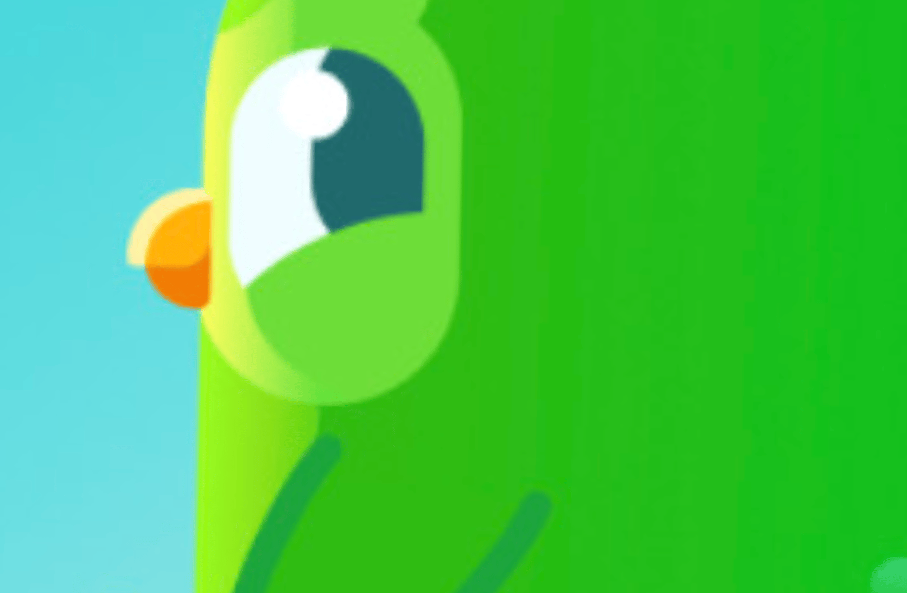 Duolingo