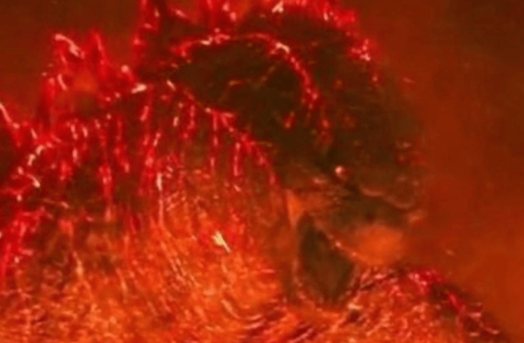 Thermonuclear Godzilla