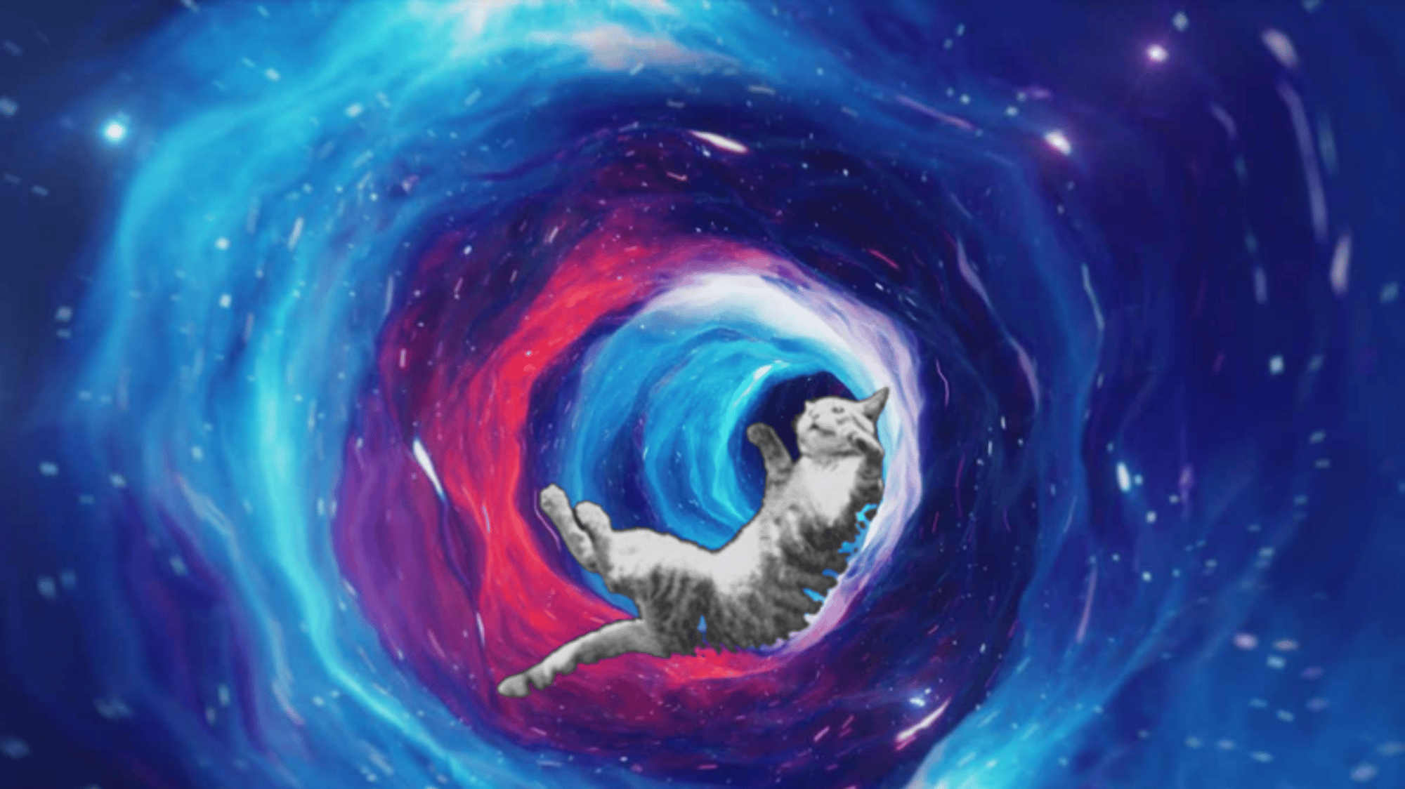 Wormhole cat