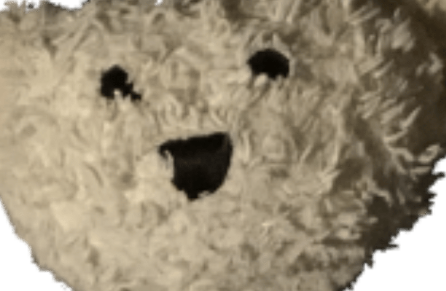 Sam