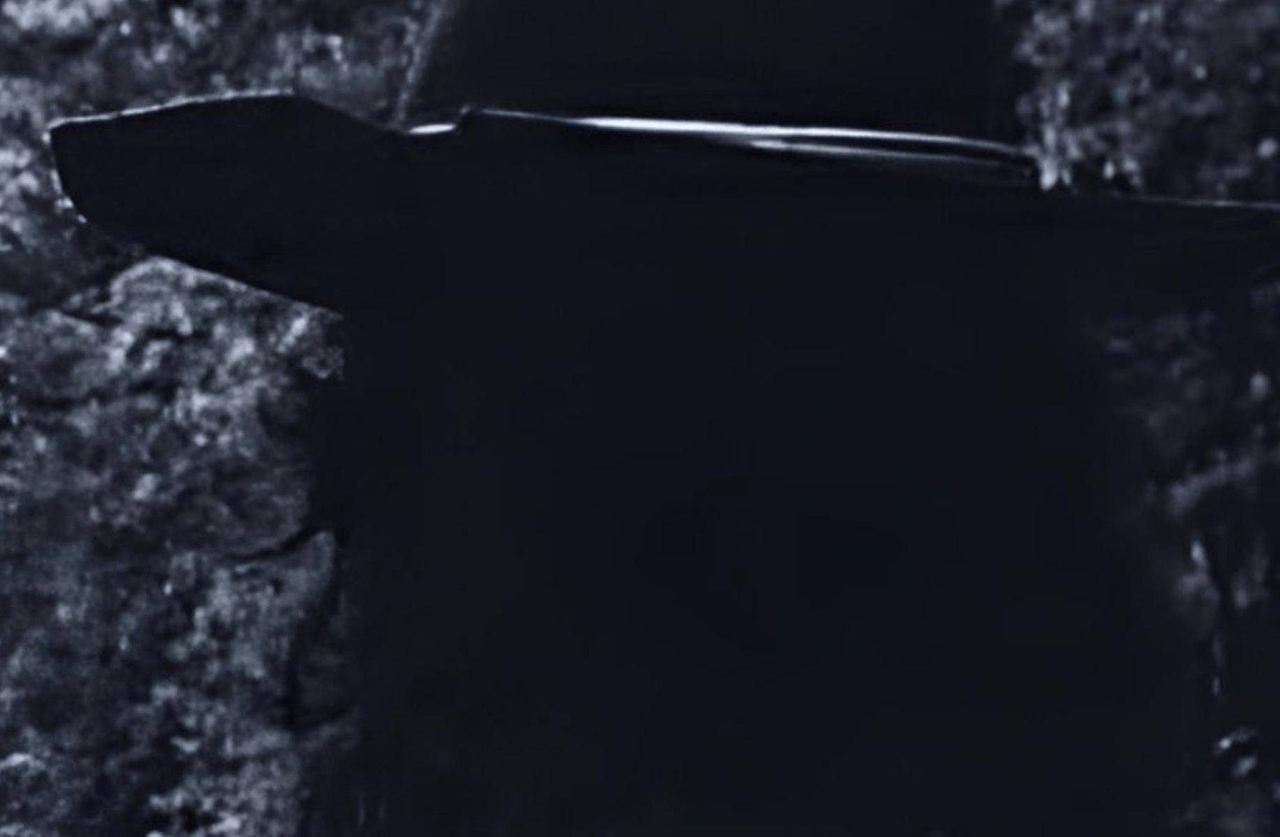Carl Grimes