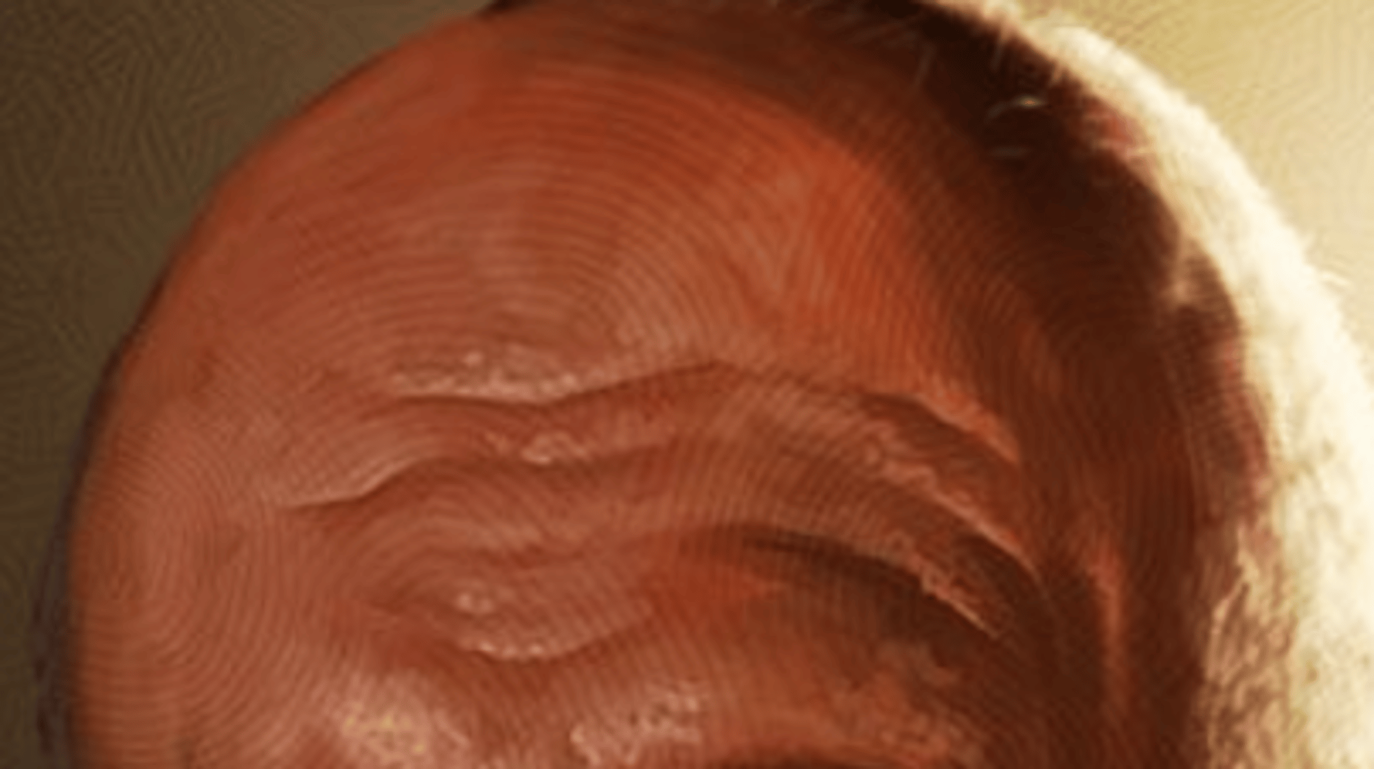 Mike ehrmantraut