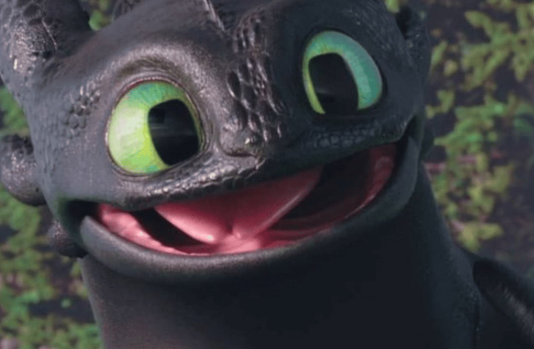 Toothless