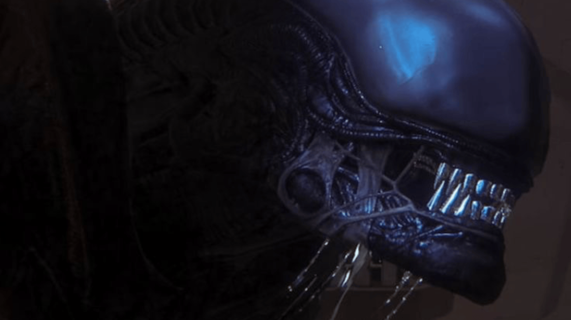 Xenomorph