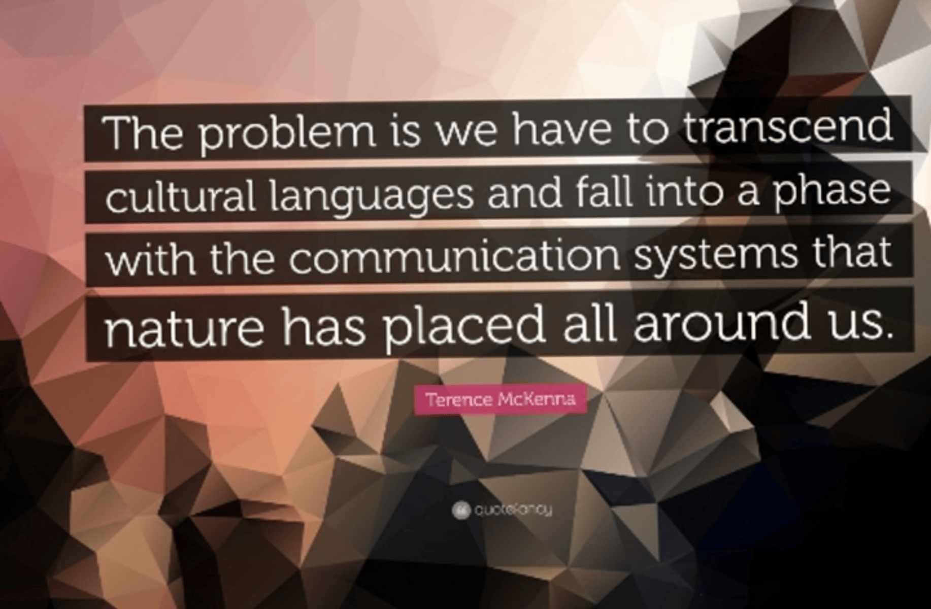 Terence mckenna