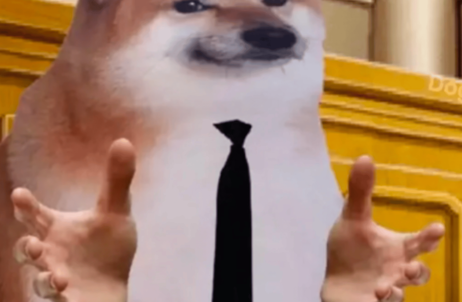 Cheezoborger
